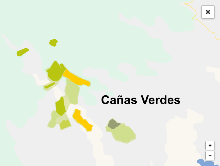 Cañas Verdes